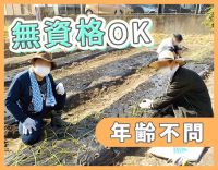 無資格・未経験OK！年齢不問★賞与年2回＋ミニボーナス